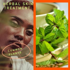 herbal skin treatment - common plants